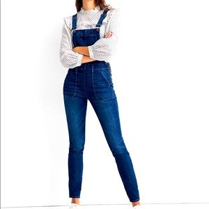 Madewell Skinny Overalls in Groveland Wash